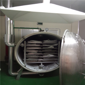 YZG圆形静态真空干燥机