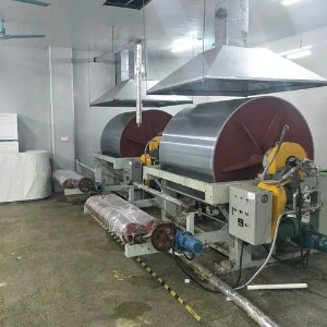 滚筒刮板干燥机